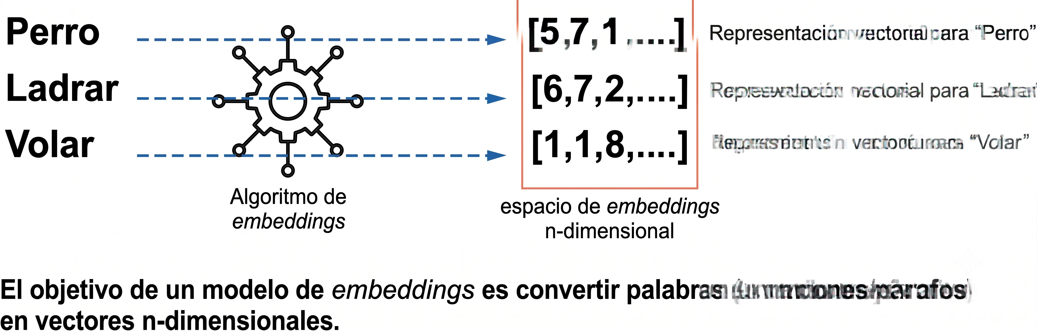 Imagen guia del contenido de la página